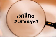 Cash Surveys Only - More about Online Surveys?
